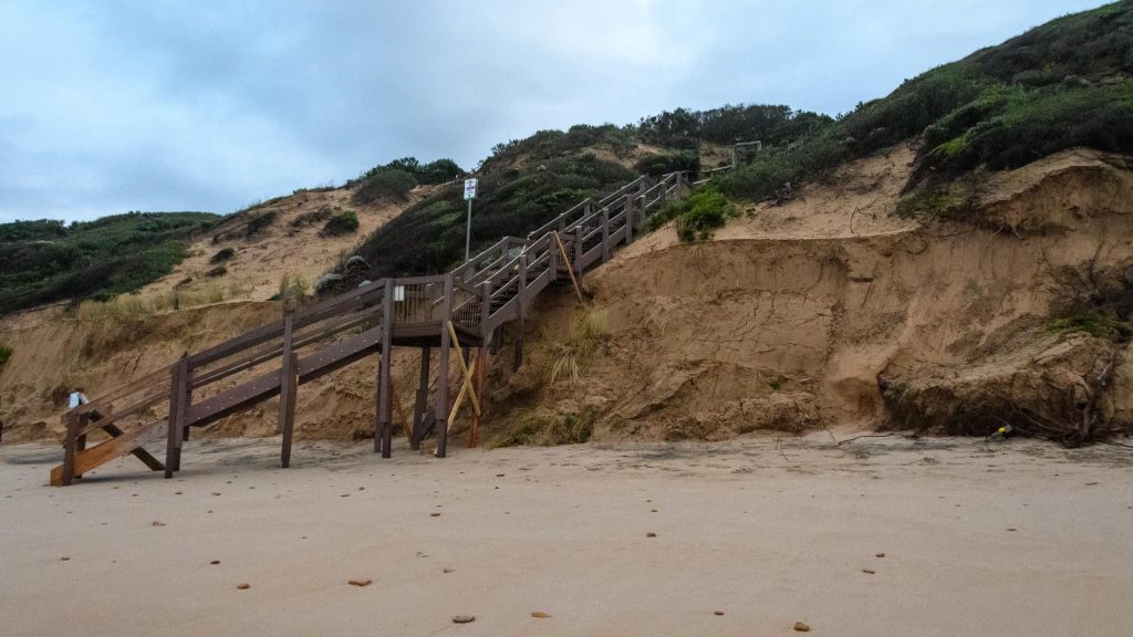 Our Backyard – Aireys Inlet