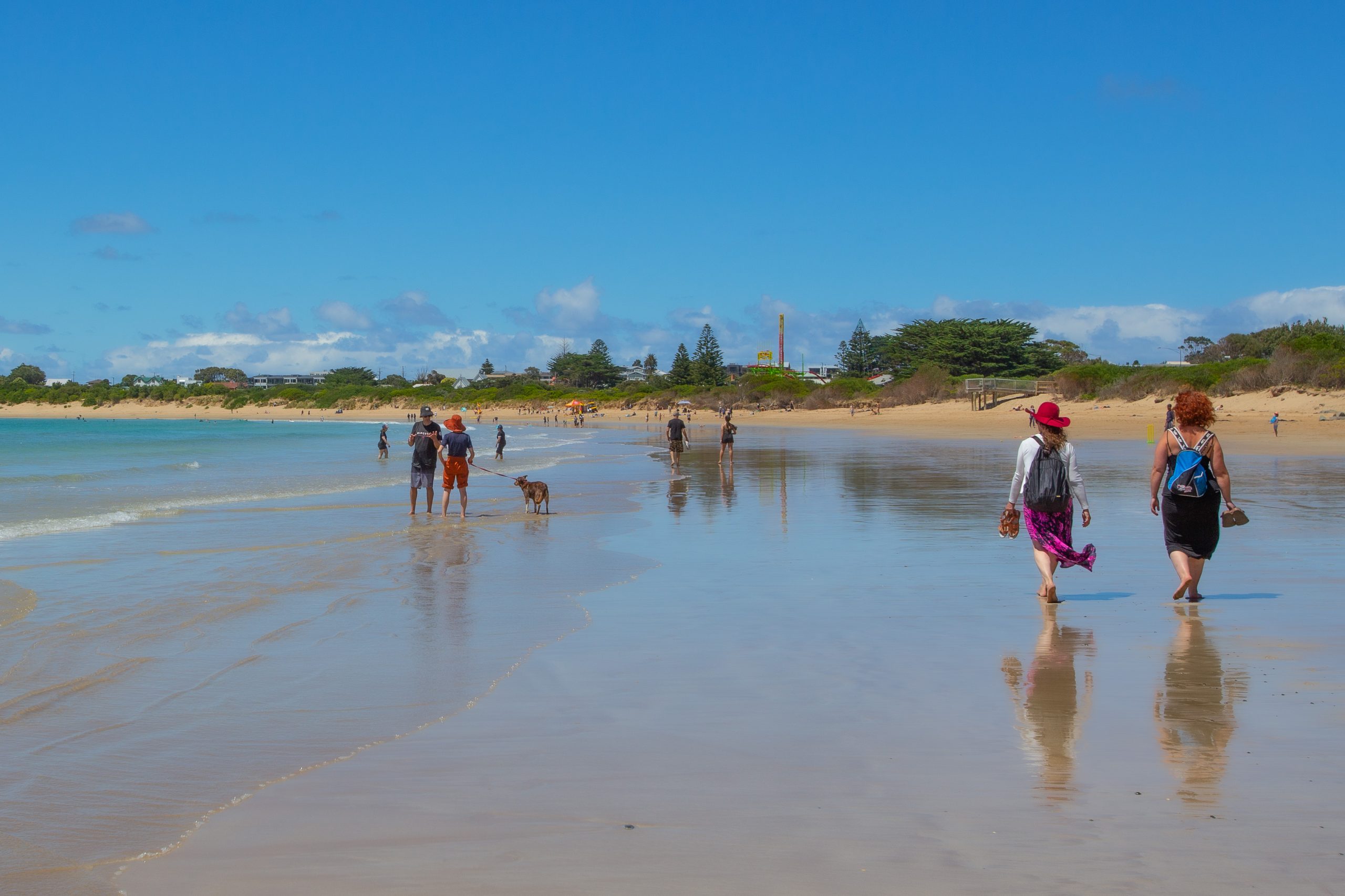 OUR BACKYARD- APOLLO BAY